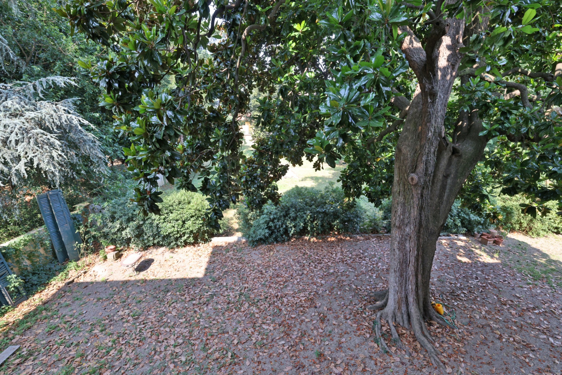 Parco